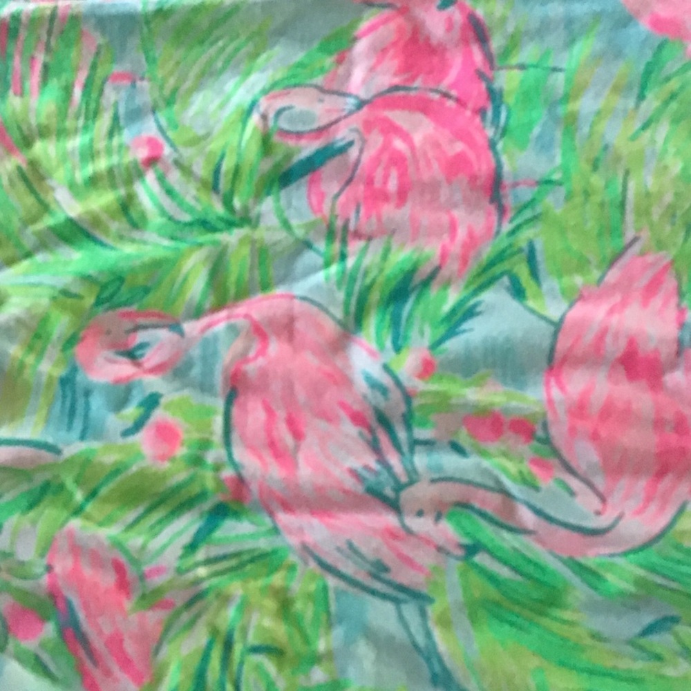 NWT Lilly Pulitzer Adriana Dress Mini Size XS - Picture 3 of 10